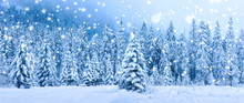 Christmas Holiday Background. Winter Scene. Snowfall In Winter Forest