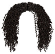 trendy curly disheveled african black  hair  . realistic  3d . fashion beauty style .unisex women  men.afro