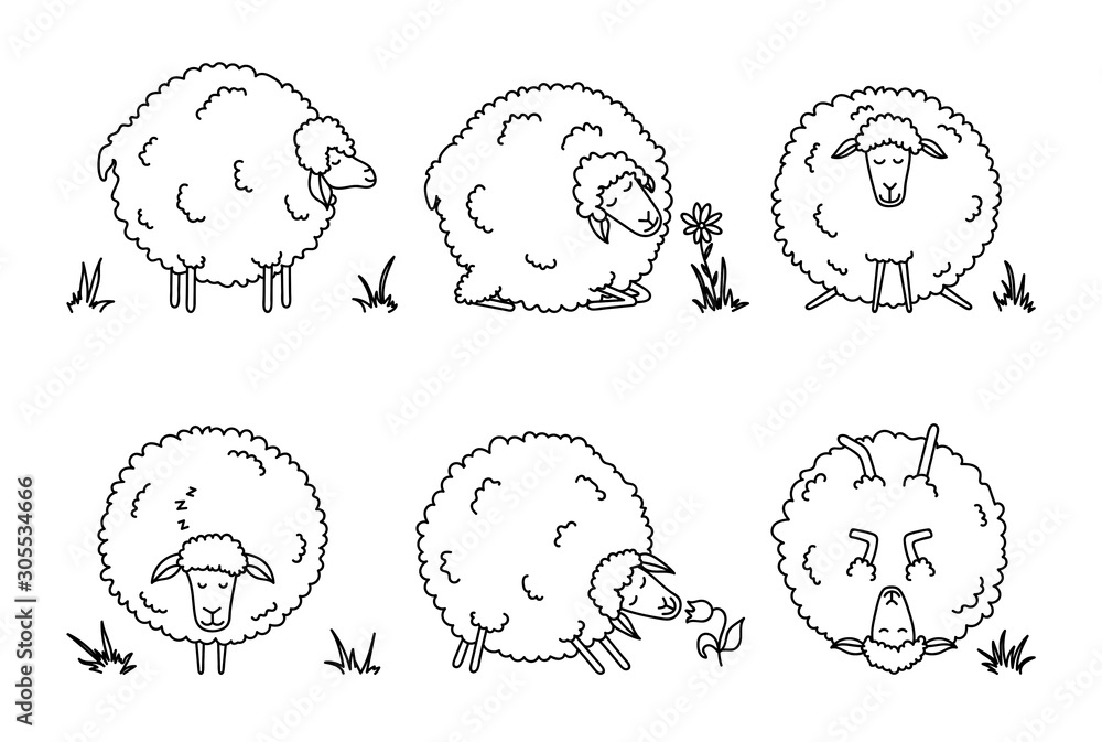 Funny cartoon sheep set. Farm animals on white background. Cute lambs ...