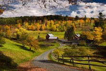 Fall Tree Colors At Sleepy Hollow Farm Homestead On Cloudland Road Woodstock Vermont