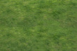 © wanchai - The abstract background of green grass flooring is the background for inserting images and text.
