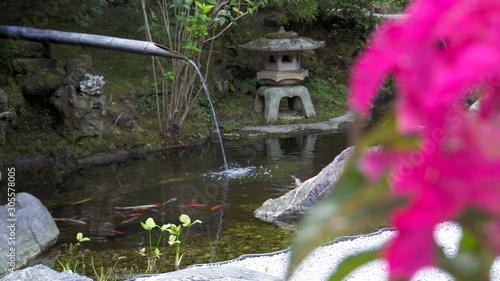 竹管からの流水と日本庭園 The Japanese Garden Pond And Waterfall With Red Flower Comprar Esta Foto De Stock Y Explorar Imagenes Similares En Adobe Stock Adobe Stock