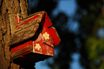 red lantern in the garden