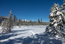 Snowshoe Tracks To Lake Baron