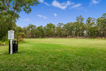 Empty meadow surrounded by trees