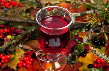 Wall Mural - Mulled wine on a background of fallen autumn leaves with berries and branches. Autumn background.