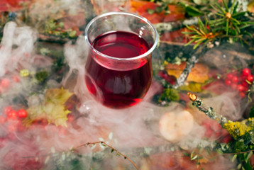 Wall Mural - Mulled wine on a background of fallen autumn leaves with berries and forest branches in a fog. 