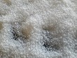 Background blur white urea pile.