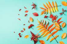 Creative Layout Of Colorful Autumn Leaves Over Blue Background. Top View. Flat Lay. Autumn Concept. Season Pattern