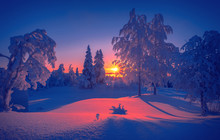 Cold Winter Day Sunset Landscape With Snowy Trees. Photo From Sotkamo, Finland. Background Heavy Snow View.