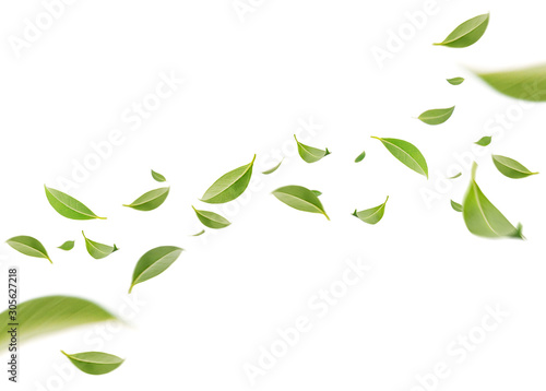 Cuadros en Lienzo Flying whirl green leaves in the air, Healthy products by organic natural ingred