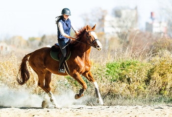 Young pretty girl riding a horse in autumn