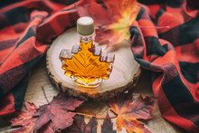 Maple Syrup Gift Bottle In Red Maple Tree Leaves For Tourist Souvenir. Canada Grade A Amber Sweet Natural Liquid From Quebec Sugar Shack Maple Trees Farm.