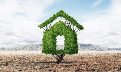 Sticker - Green plant in shape of house grows in desert