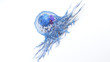 © Sebastian Kaulitzki - 3d rendered illustration of the anatomy of a cancer cell