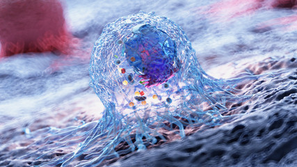 Poster - 3d rendered illustration of the anatomy of a cancer cell