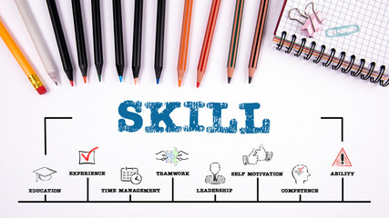 Wall Mural - Skill. Education, experience and business concept. Chart with keywords and icons