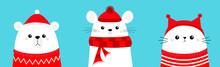 Merry Christmas. Polar White Bear Cub Mouse Cat Head Face Wearing Red Santa Hat Knitted Ugly Sweater, Hat, Scarf. Cute Cartoon Kawaii Baby Character. Arctic Animal. Flat Design. Winter Background