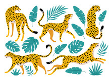 Vector Set Of Leopards And Tropical Leaves. Trendy Illustration.