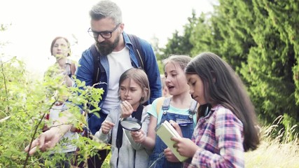 Poster - Group of school children with teacher on field trip in nature, learning science.