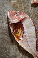 Poster - Red sea bream fish fillet 