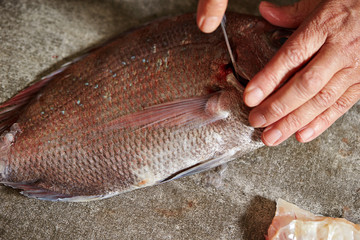 Wall Mural - Filleting red sea bream with knife 