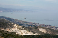 An Eagle Flying Over The Mountains Of Costa Del Sol, Spain