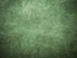 © seksun - Green texture background