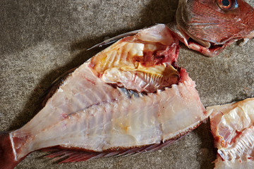 Poster - Red sea bream fish fillet 