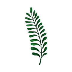  Green Branch of Wild Fern Vector Illustration For Graphic Decoration of Cards
