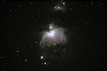 orion nebula