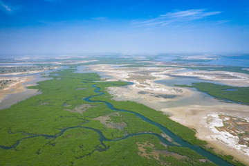 Poster - Senegal Mangroves. Aerial view of mangrove forest in the  Saloum Delta National Park, Joal Fadiout, Senegal. Photo made by drone from above. Africa Natural Landscape.