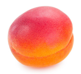 Fresh apricot on white background