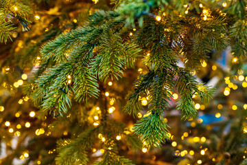 Outdoor decorated Christmas tree with light garland, selective focus