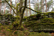 © Tanja Voigt  - Heidenmauerweg am Mont Saint Odile in den Vogesen