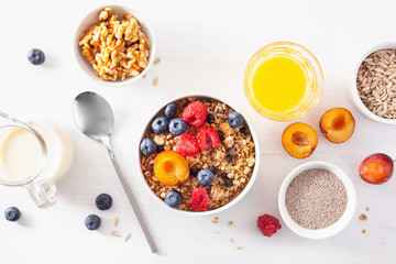 Wall Mural - healthy granola for breakfast with berry fruit nut, vegan milk