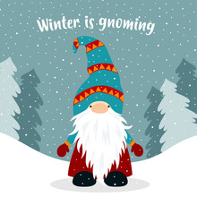 Christmas Winter Card With Cute Gnome