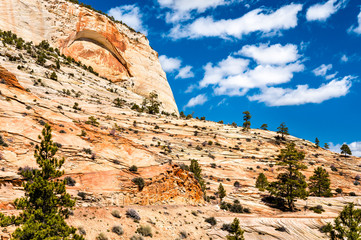 Sticker - Landscape of Zion National Park along Pine Creek