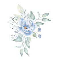 Blue Flowers And Leaves Hand Drawn Illustration