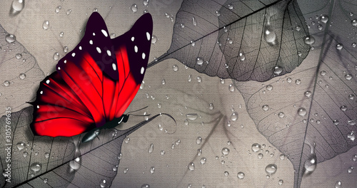 Fototapeta na wymiar 3d wallpaper, red butterfly on canvas textures