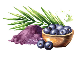 Wall Mural - Acai powder with fresh acai berries and palm branch. Watercolor hand drawn illustration isolated on white background