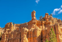Red Canyon On The Dixie National Forest At The Entrance Of Bryce Canyon National Park, Utah, USA