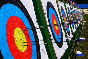 Archery target on the competition field