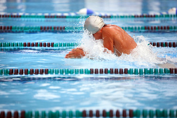 Canvas Print - Breast stroke swimmer