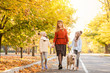 © Pixel-Shot - Happy family with dog walking in autumn park