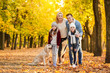 © Pixel-Shot - Happy family with dog in autumn park