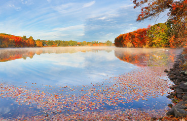 Beautiful New England Fall Foliage with reflections at sunrise, Boston Massachusetts.