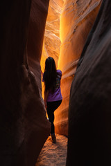 Wall Mural - The American Southwest is a Vast Playground to Explore