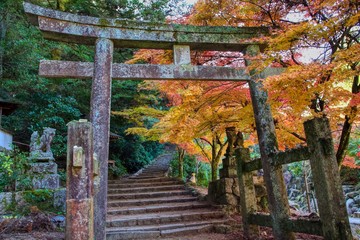 Miyajima Island Tori Gate in Hiroshima, Japan