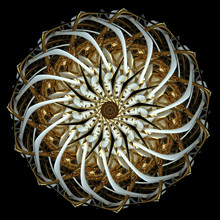 3d Rendering Of Abstract Plane Turbine Engine Or Kaleidoscopic Metal Flower With Sharp Blades In Gold And White Glossy Plastic Material On Black Background